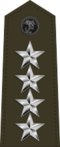 US Marine 10 shoulderboard vertical.svg