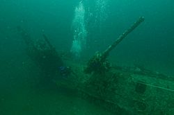 U -85 diver and deck gun