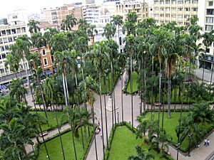 Victor H Hernandez Cali Plaza de Caycedol