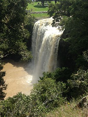 Whangarei Falls after rain