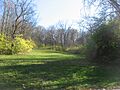 Woods with the Benham Mound