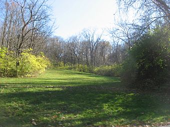 Woods with the Benham Mound.jpg
