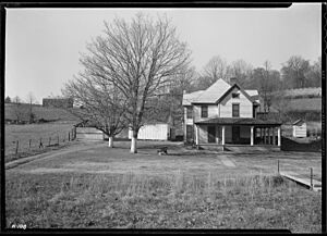"The homestead of Sherman Stiner, Lead Mine Bend, Union County, Tennessee. Mr. Stiner is a prosperous and progressive... - NARA - 532726