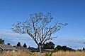 3950-Nanaimo Five Acre Farm 01