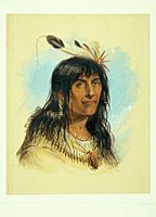 Alfred Jacob Miller - "Big Bowl" ( A Crow Chief) - Walters 37194015