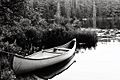 Algonquin park canoe