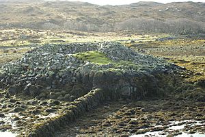a wide ovaloid linear mound of stones, up to 2 metres high with grass within, emanating from which is a low straight single course stone wall, all on a seaweed-covered rocky beach with low hills in the background