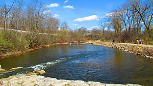 Argo Dam (Michigan) Cascades