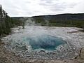Artemisia Geyser YNP