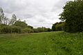 Ashdon Meadows 1