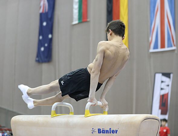 Austrian Future Cup 2018-11-23 Training Afternoon Pommel horse (Martin Rulsch) 322