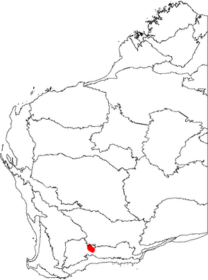 Banksia viscida map