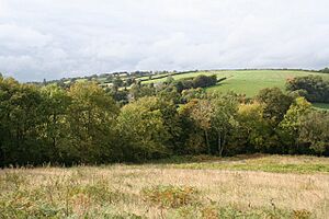 Bathealton, Hurstone Local Nature Reserve - geograph.org.uk - 63387