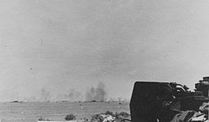Battle of Bir Hakeim 1942-1
