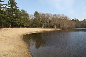 Beach, Hopeville Pond, Griswold CT