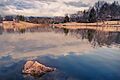 Bee tree lake