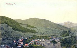 Bird's-eye view of Pittsfield c. 1910