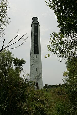 Cape Romain 1857 Lighthouse