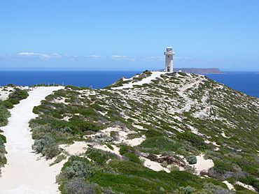 Cape Spencer lighthouse.JPG