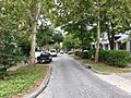 Carolina Place Historic District Medium street shot