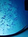 Challenger Deep Dive 071222 by V Vescovo in DSV Limiting Factor - Southern Wall of Western Pool
