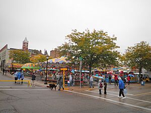 Cheese Days Inc, 2010 - panoramio