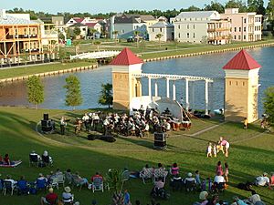 Concert in ion