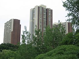 Three of Crescent Town's buildings towering over the Taylor Creek ravine
