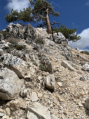 Crystal peak 20200520 (02)