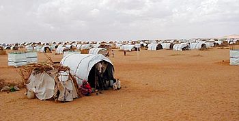 Darfur report - Page 5 Image 1