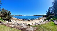 Delwood Beach at Manly Cove