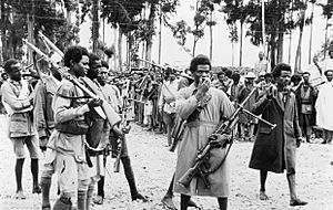 Ethiopian men gather in Addis Ababa, heavily armed with captured Italian weapons, to hear the proclamation announcing the return to the capital of the Emperor Haile Selassie in May 1941. K325