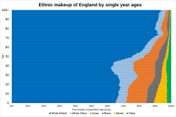 Ethnic makeup of England in single year age groups in 2021