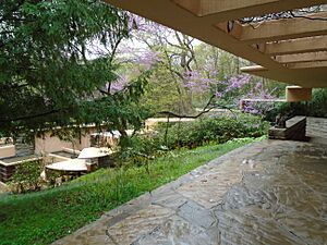 Fallingwater from the guest house