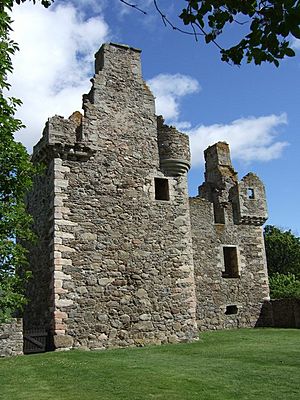 Glenbuchat Castle, Geograph