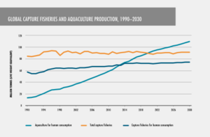 Global capture fisheries and aquaculture production, 1990-2030