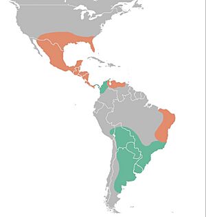 Glyptodon and Glyptotherium Distribution Map2.jpg