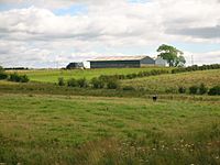 Hill of Pokelly Farm from Balgray