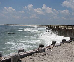 Holgate beach bulkhead