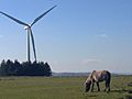 Horse grazing near Pencader wind turbine