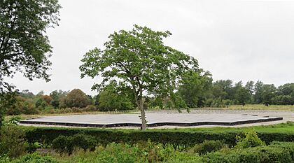 I-LOFAR telescope