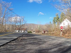 Hiwassee, Virginia Facts for Kids