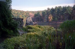 Innisfree Garden 1