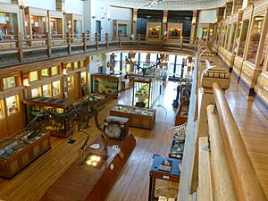 Interior Redpath Museum