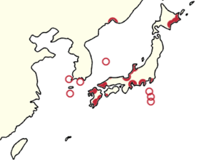 Japanese murrelet distribution map.png