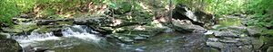 Kitchen Creek in Ricketts Glen State Park panorama
