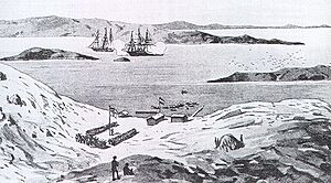 Lüderitz in 1884