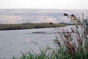 Lake Agmon Hula Valley