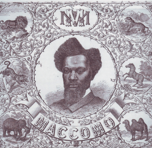 Maccomo poster