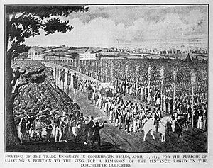 Meeting of the trade unionists in Copenhagen Fields, April 21, 1834, for the purpose of carrying a petition to the King for a remission of the sentence passed on the Dorchester labourers (1293402)
